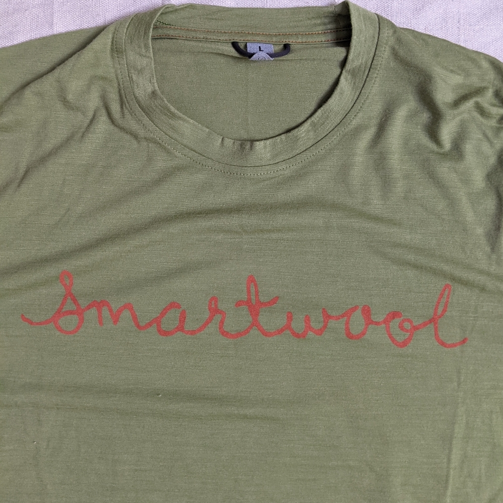 Smartwool Merino Wool T-Shirt Green with Spellout Logo - Picture 2 of 6